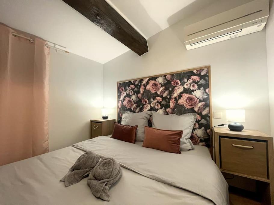 Charme Urbain Sous Les Toits-terrasse/clim/parking * Beziers