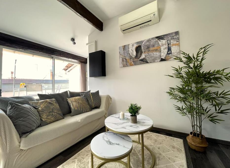 Charme Urbain Sous Les Toits-terrasse/clim/parking Beziers